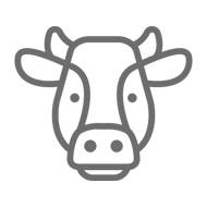 cow